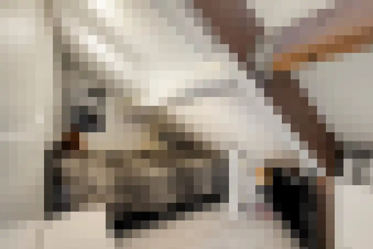 Kralingenstraat 29 Tilburg thumbnail 30