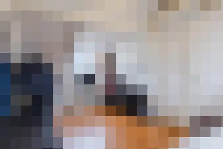Kralingenstraat 8 Tilburg thumbnail 26