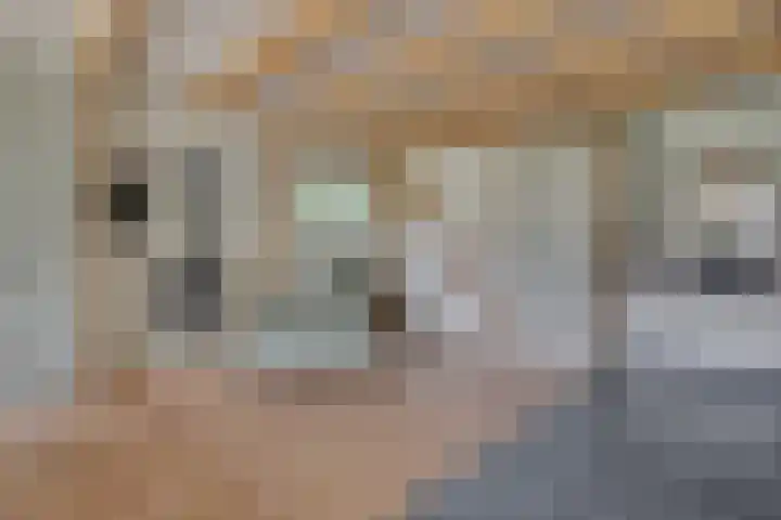 Kralingergracht 1 De Rijp thumbnail 17