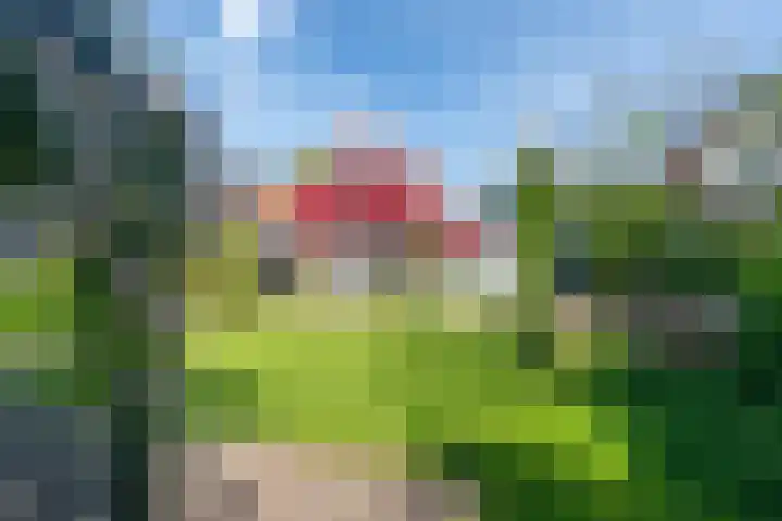 Kralingergracht 1 De Rijp thumbnail 59