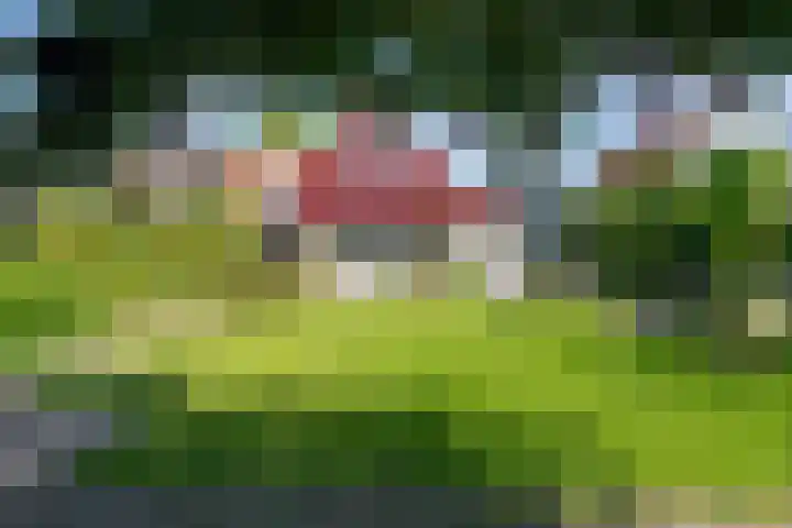 Kralingergracht 1 De Rijp thumbnail 60