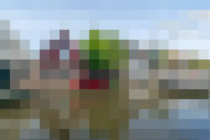 Kralingergracht 1 De Rijp thumbnail 63