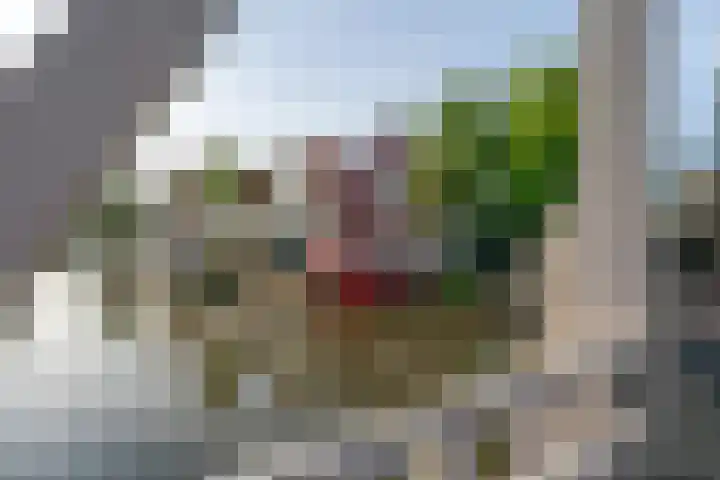 Kralingergracht 1 De Rijp thumbnail 64
