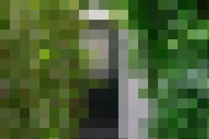 Kralingergracht 1 De Rijp thumbnail 68