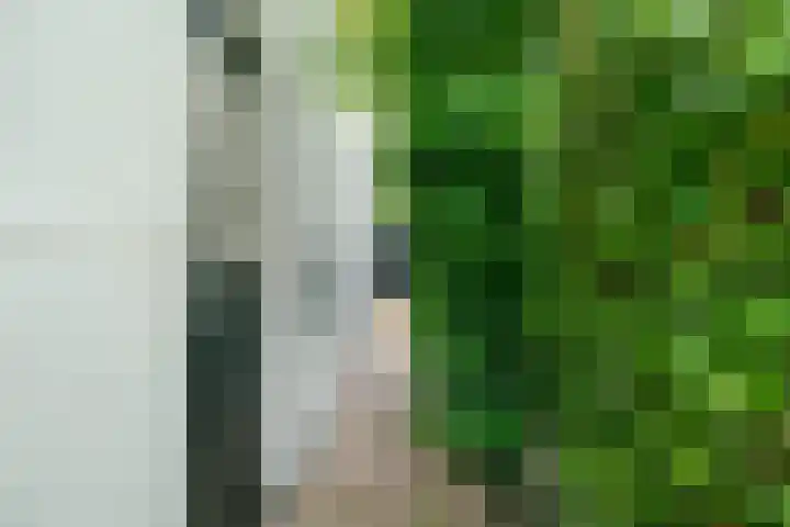Kralingergracht 1 De Rijp thumbnail 69