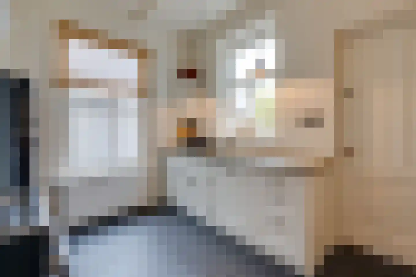 Kralingergracht 5 De Rijp thumbnail 13