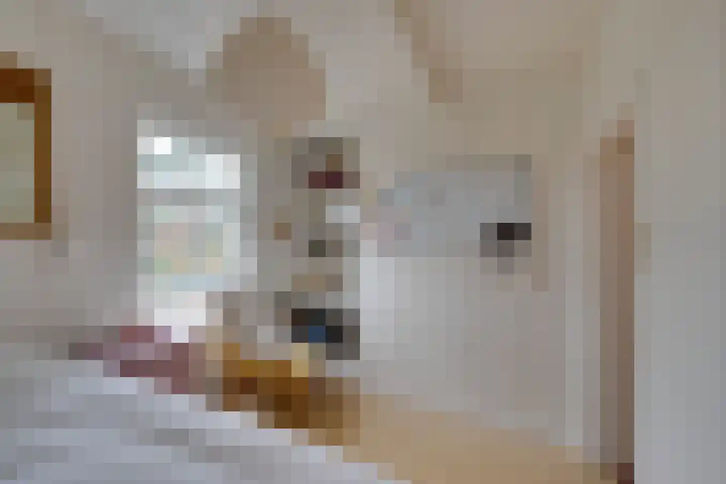 Kralingergracht 5 De Rijp thumbnail 32