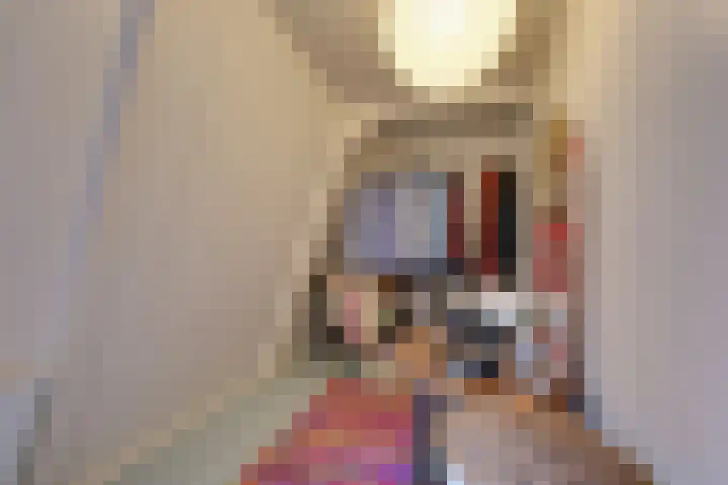Kralingergracht 5 De Rijp thumbnail 36