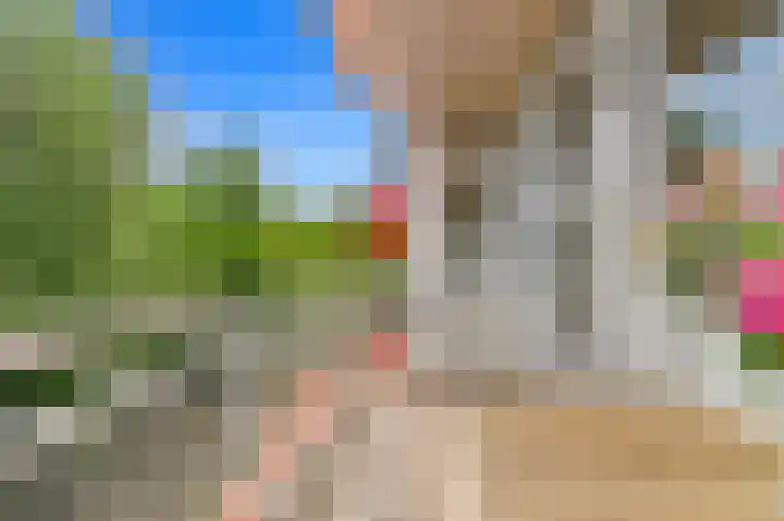 Kralingse Plaslaan 134 Rotterdam thumbnail 11