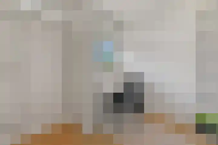 Kralingse Plaslaan 134 Rotterdam thumbnail 13