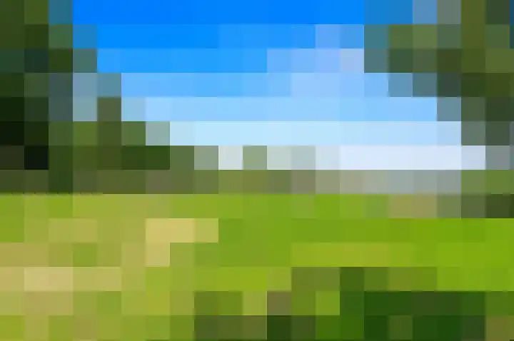 Kralingse Plaslaan 134 Rotterdam thumbnail 34