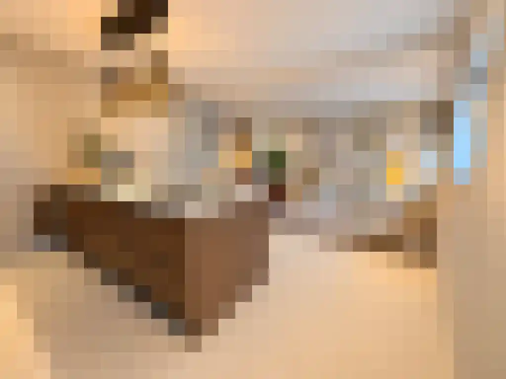 Kralingse Plaslaan 160 Rotterdam thumbnail 6