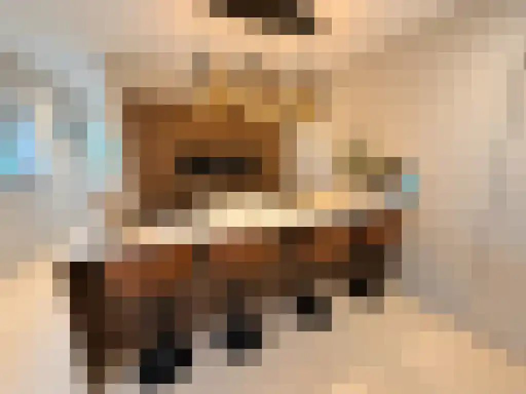 Kralingse Plaslaan 160 Rotterdam thumbnail 7