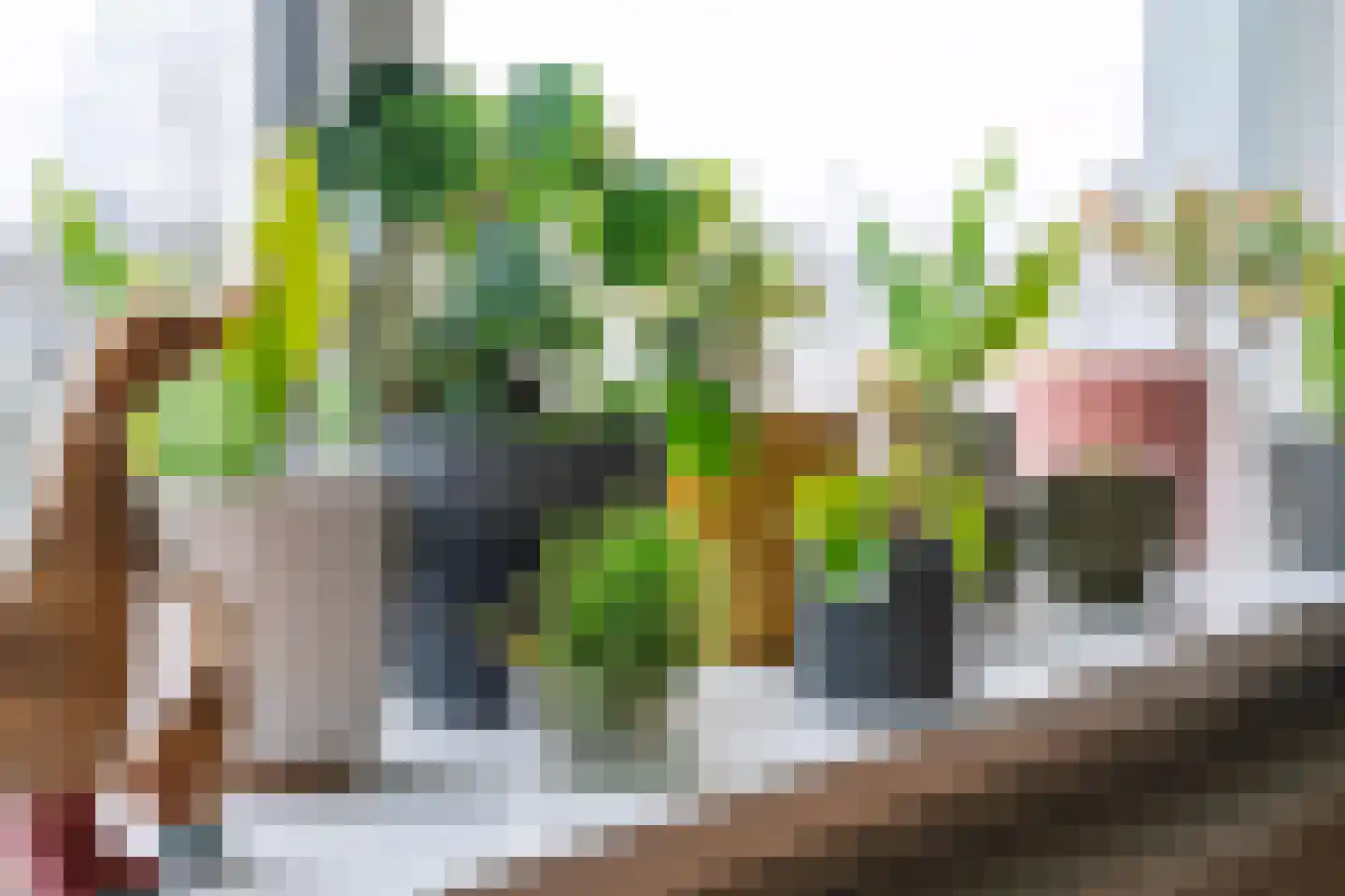 Kralingse Plaslaan 166 Rotterdam thumbnail 13