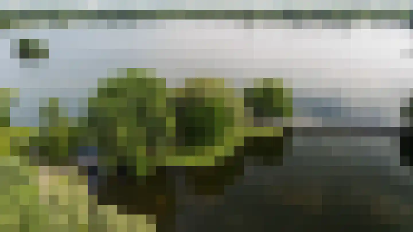 Kralingse Plaslaan 166 Rotterdam thumbnail 31