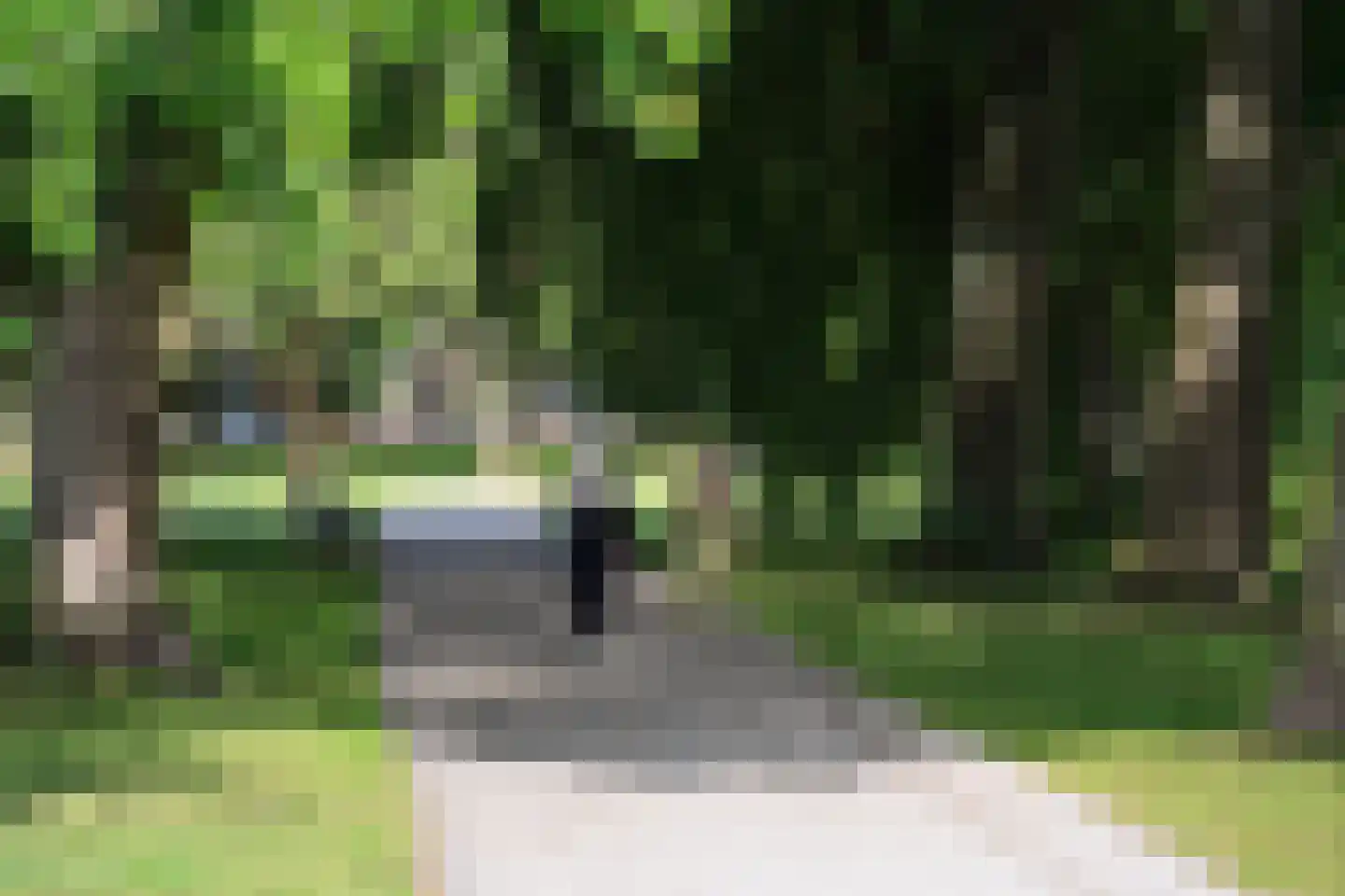 Kralingse Plaslaan 166 Rotterdam thumbnail 33