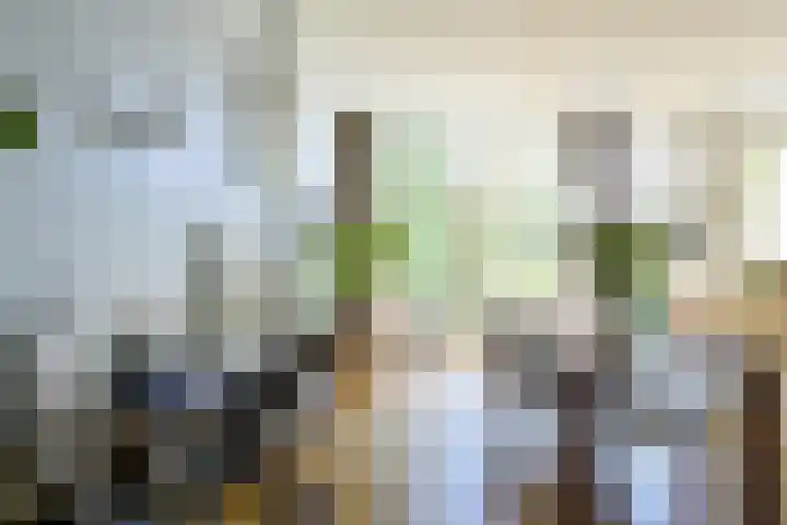 Kralingse Plaslaan 19 Rotterdam thumbnail 10