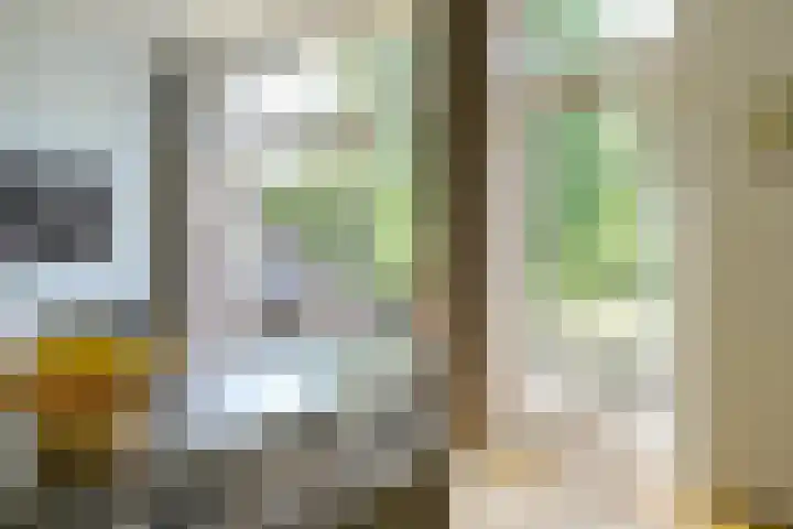 Kralingse Plaslaan 19 Rotterdam thumbnail 11