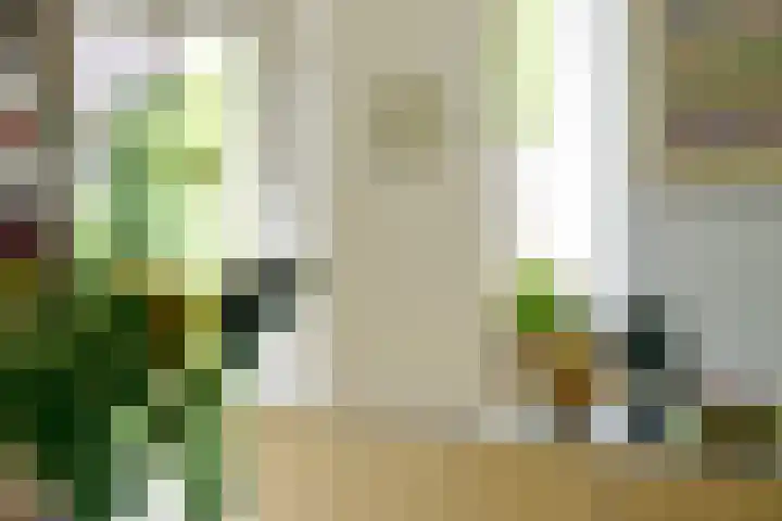 Kralingse Plaslaan 19 Rotterdam thumbnail 12