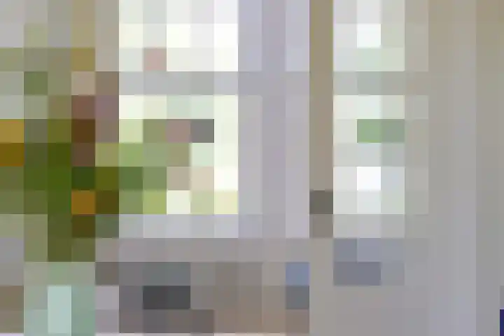 Kralingse Plaslaan 19 Rotterdam thumbnail 14
