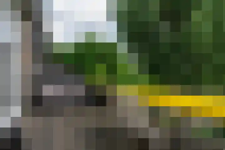 Kralingse Plaslaan 19 Rotterdam thumbnail 16