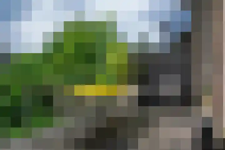 Kralingse Plaslaan 19 Rotterdam thumbnail 17