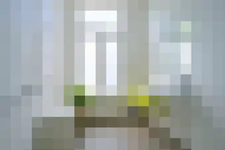 Kralingse Plaslaan 19 Rotterdam thumbnail 26
