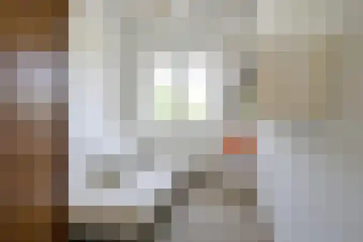 Kralingse Plaslaan 19 Rotterdam thumbnail 30