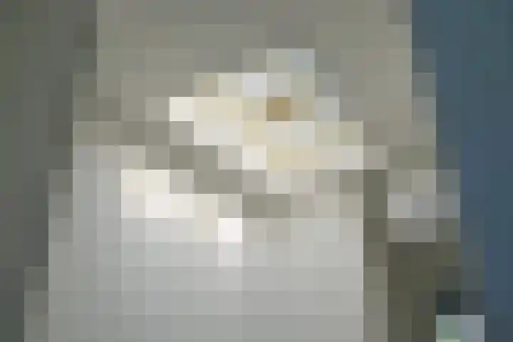 Kralingse Plaslaan 19 Rotterdam thumbnail 35