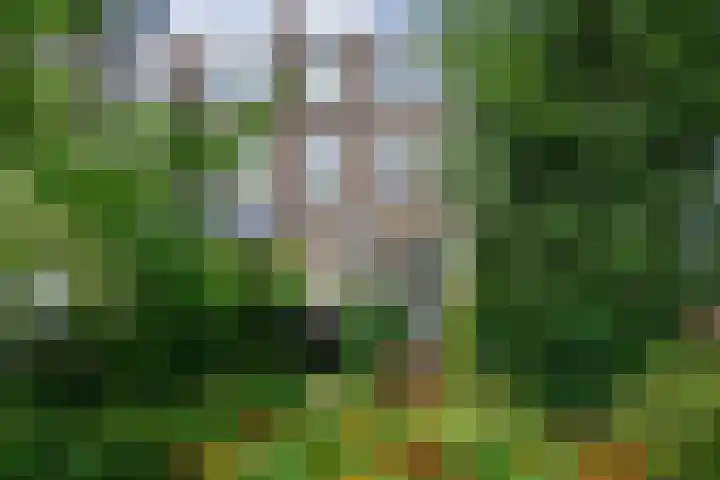 Kralingse Plaslaan 19 Rotterdam thumbnail 38