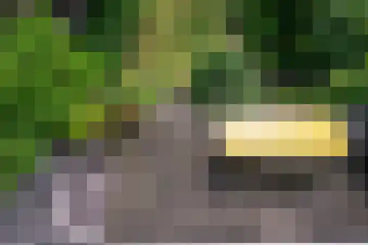 Kralingse Plaslaan 19 Rotterdam thumbnail 39