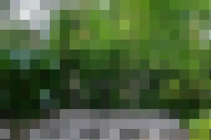 Kralingse Plaslaan 19 Rotterdam thumbnail 40