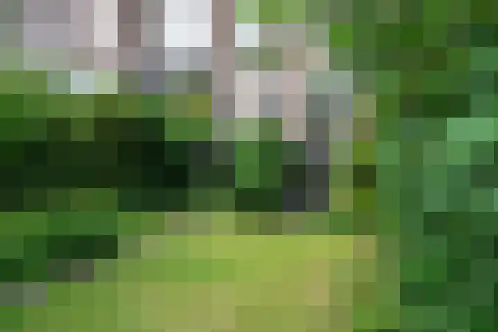 Kralingse Plaslaan 19 Rotterdam thumbnail 41