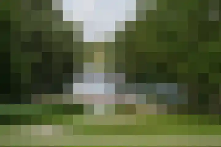 Kralingse Plaslaan 19 Rotterdam thumbnail 43