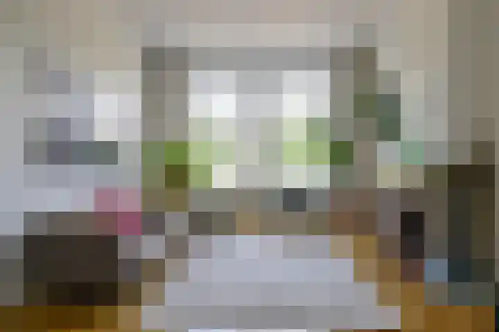 Kralingse Plaslaan 19 Rotterdam thumbnail 6
