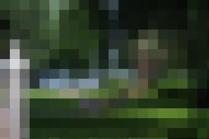 Kralingse Plaslaan 19 Rotterdam thumbnail 7