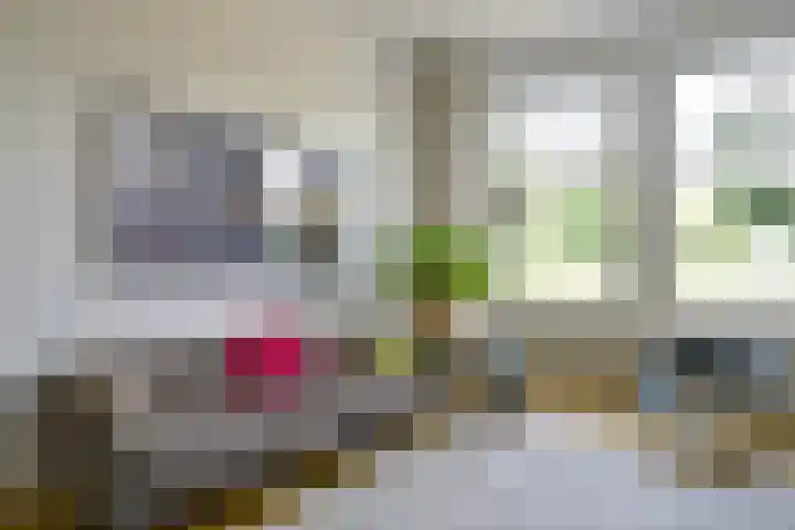 Kralingse Plaslaan 19 Rotterdam thumbnail 8
