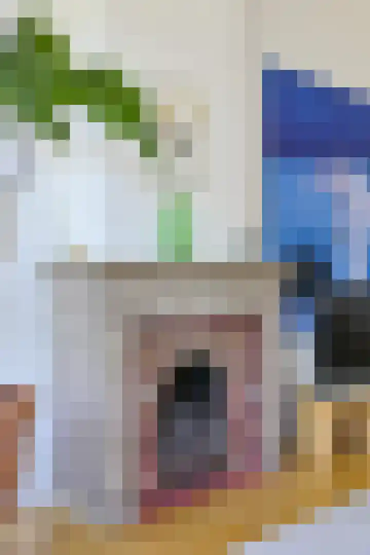 Kralingse Plaslaan 19 Rotterdam thumbnail 9