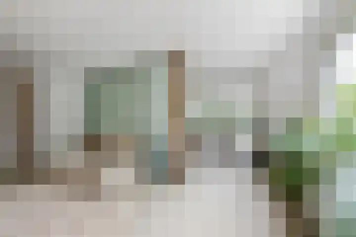 Kralingse Plaslaan 46 Rotterdam thumbnail 10