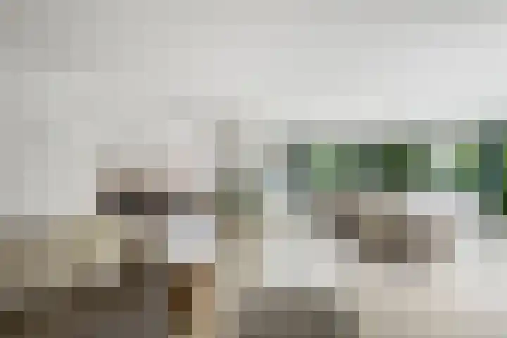 Kralingse Plaslaan 46 Rotterdam thumbnail 11