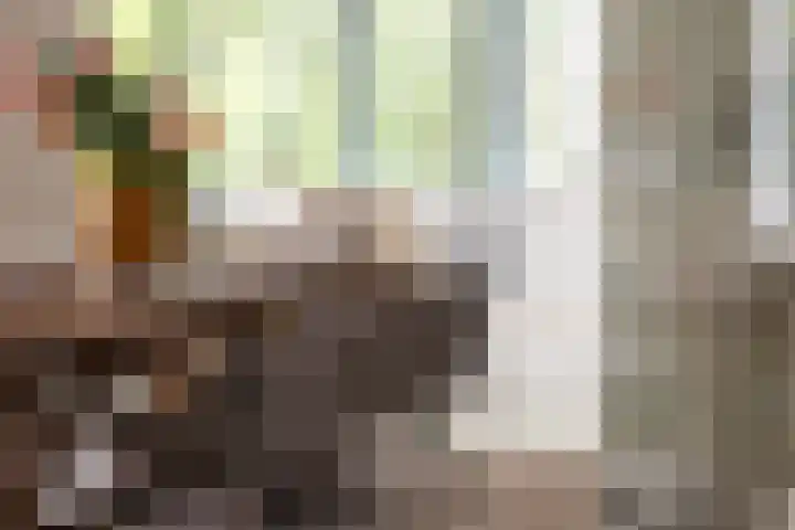 Kralingse Plaslaan 46 Rotterdam thumbnail 12