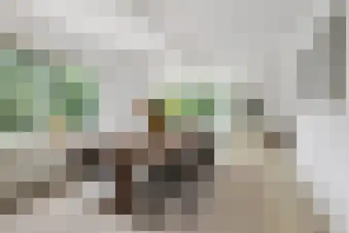 Kralingse Plaslaan 46 Rotterdam thumbnail 13