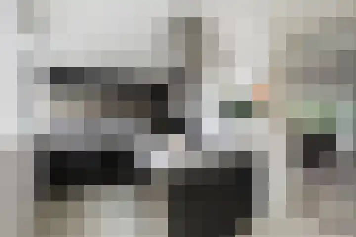Kralingse Plaslaan 46 Rotterdam thumbnail 15