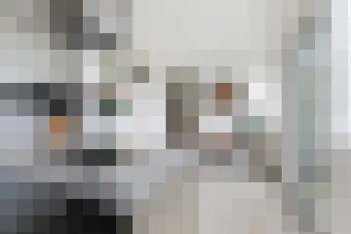 Kralingse Plaslaan 46 Rotterdam thumbnail 18