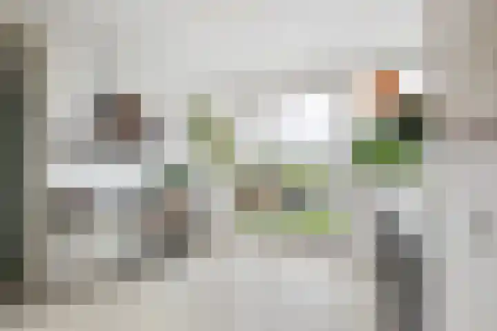 Kralingse Plaslaan 46 Rotterdam thumbnail 19