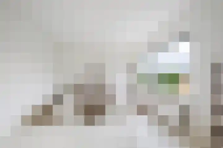 Kralingse Plaslaan 46 Rotterdam thumbnail 24
