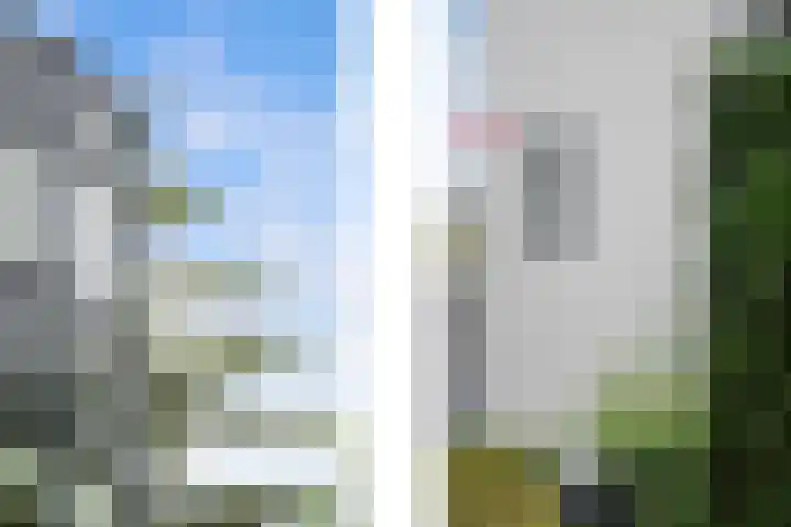 Kralingse Plaslaan 46 Rotterdam thumbnail 30