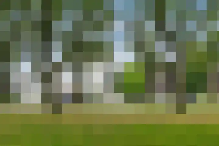 Kralingse Plaslaan 46 Rotterdam thumbnail 31
