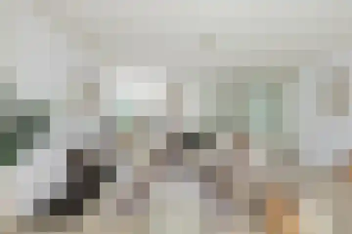 Kralingse Plaslaan 46 Rotterdam thumbnail 4