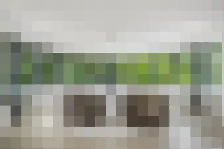 Kralingse Plaslaan 46 Rotterdam thumbnail 5